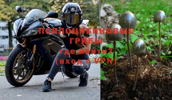 хмурый Кодинск