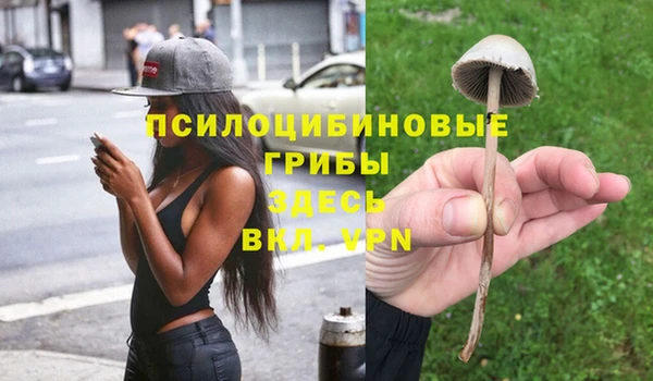 ешки Козловка