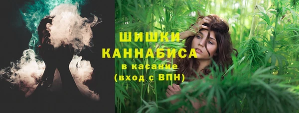 ешки Козловка