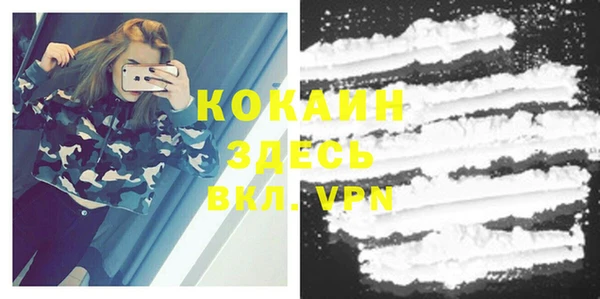 хмурый Кодинск