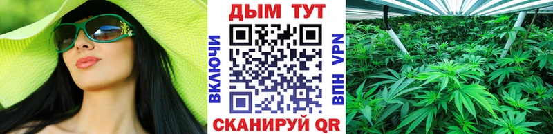 Купить где  Хадыженск  Конопля White Widow 